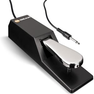 Pedal M Gear